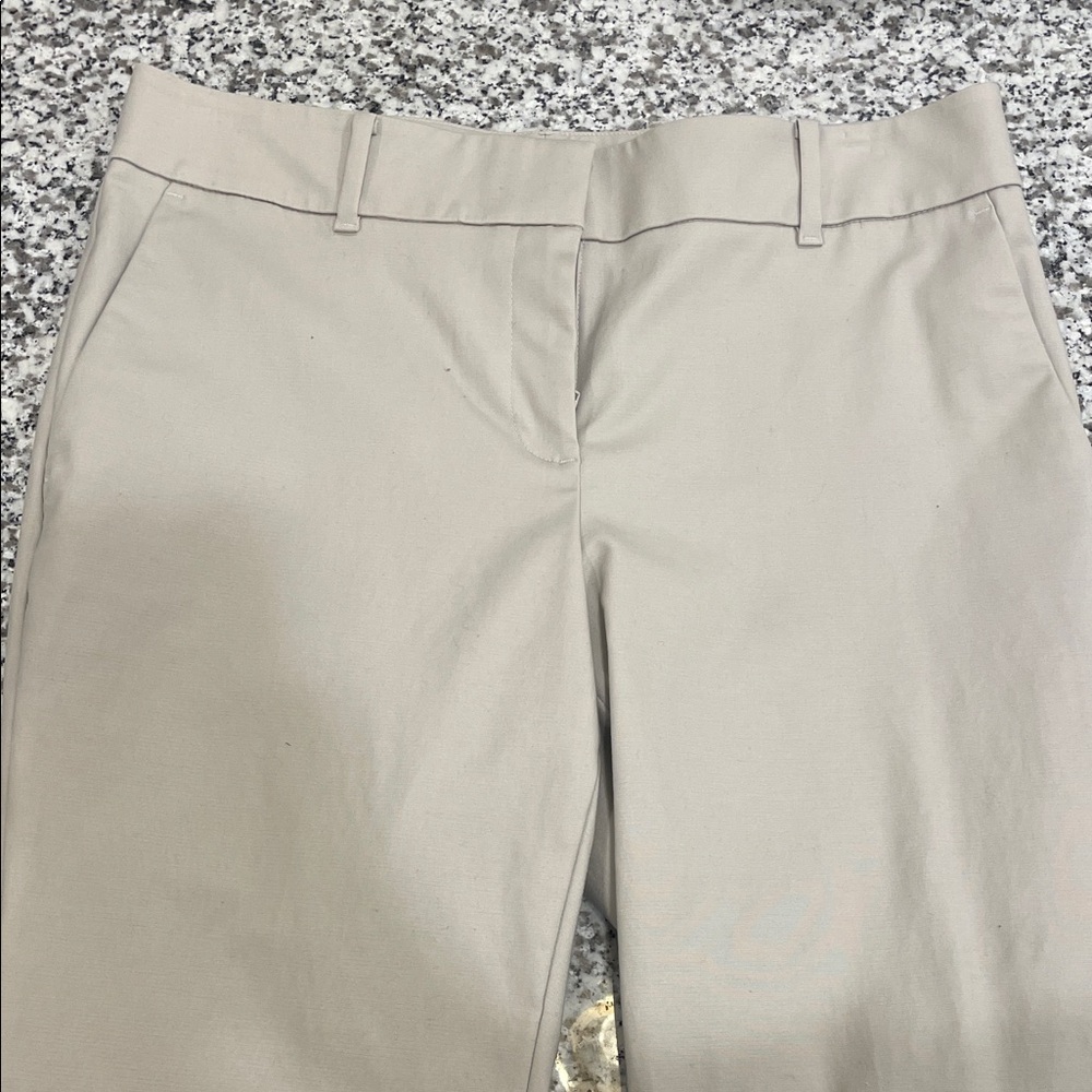 Ann Taylor Light Taupe Straight Leg Pants